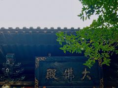 -洛阳白马寺