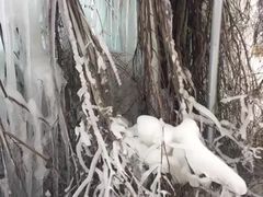 -大平台龙居瀑布旅游区