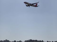 -空港花田景区