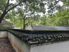 -上海佘山国家森林公园天马山园