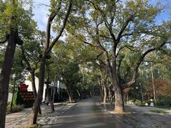 -东湖落雁景区