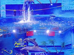 -多彩贵州城极地海洋世界