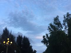 -宝安西湾红树林湿地公园