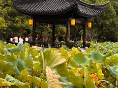 -丝绸小镇荻港古村