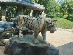 -北京野生动物园