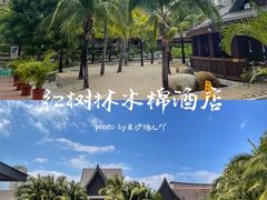 -三亚湾红树林度假世界(木棉酒店)