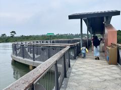 -东寨港红树林旅游区