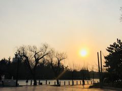 -莱西月湖公园