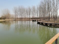 -东郊湿地公园