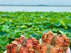 -七的湖·晚芳亭·阳澄湖农家菜·大闸蟹(莲花岛店)