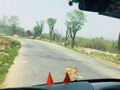 -西安秦岭野生动物园