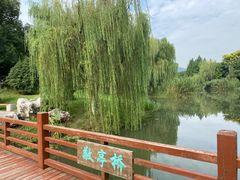 -江南大学(蠡湖校区)