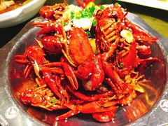 -古田会·肥肠鸡(古田店)