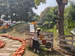 -HERRE·FARM 赫尔露营农场·团建聚会包场