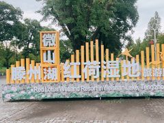 -微山湖红荷湿地景区