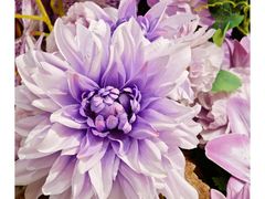 -每一角落精品超市(广粤天地店)