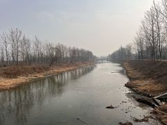 -东郊湿地公园