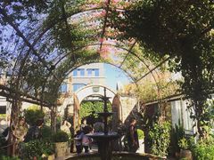 -The Grounds of Alexandria