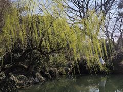 -西湖天地