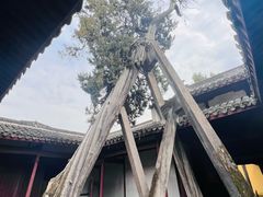 -太平天国侍王府