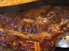 -朱光玉火锅馆(正弘城店)