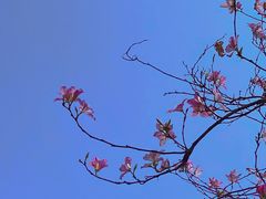 -广东花都湖国家湿地公园