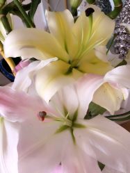 点击看大图 -Yue Show馨选·半永久纹眉纹眼线