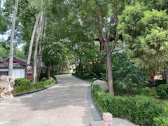 -新川办餐厅