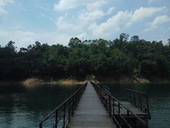 -广州市流溪河国家森林公园