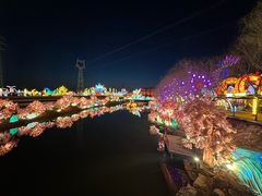 -淄博花灯齐彩城