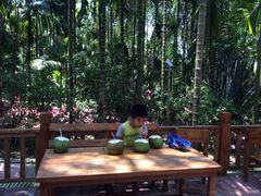 亚龙湾红树林度假酒店-三亚亚龙湾红树林度假酒店