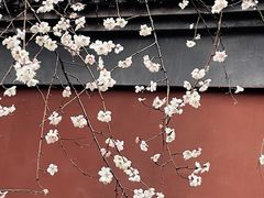 -钱王祠