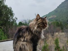 -四门塔风景区