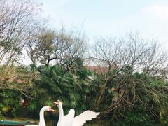 -赭山公园