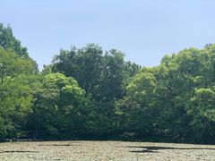 -杭州植物园