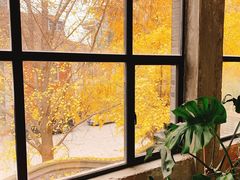 -腾爱熊猫咖啡生活馆(老东门店)