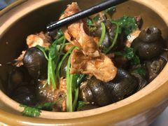 -食爺炭炉鸡煲·烧烤
