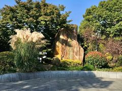 -昆山城市生态森林公园