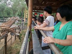 android_upload_pic-石家庄市动物园