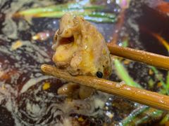 -石灰市毛记烧鸡公(解放碑店)