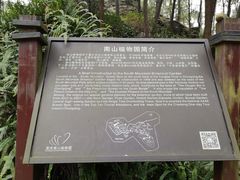 -南山植物园
