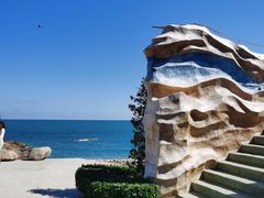 -广东惠东海龟国家级自然保护区