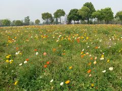 -歌斐颂巧克力小镇