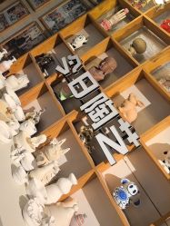 -袁亮今日陶艺(苹果社区总店)