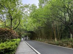 -长谷洞天