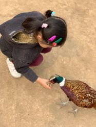 -萌宠亲子动物乐园(槐房万达店)