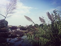 -西溪国家湿地公园