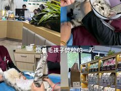 -美联众合动物医院·24h转诊中心