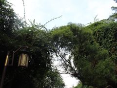 -铁路文化公园
