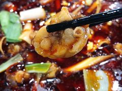 石锅牛蛙-虎虎龙虾大排档(双井店)
